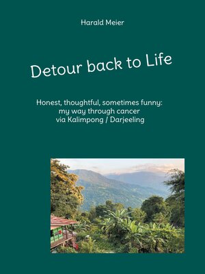 cover image of Detour back to Life